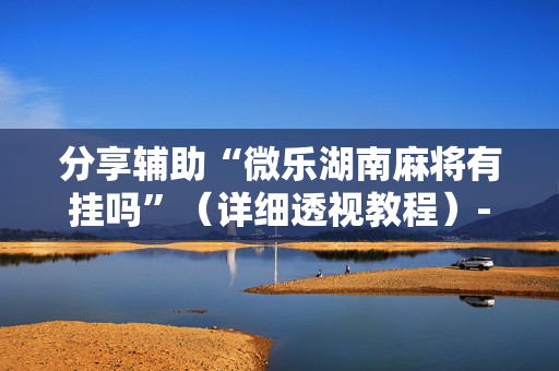 分享辅助“微乐湖南麻将有挂吗”（详细透视教程）-哔哩哔哩