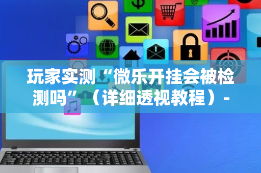 玩家实测“微乐开挂会被检测吗”（详细透视教程）-哔哩哔哩