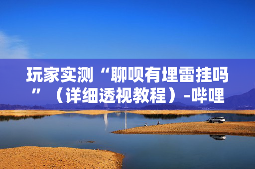 玩家实测“聊呗有埋雷挂吗”（详细透视教程）-哔哩哔哩