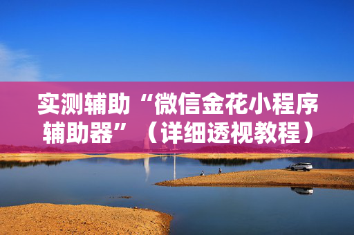 实测辅助“微信金花小程序辅助器”（详细透视教程）-哔哩哔哩