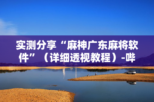 实测分享“麻神广东麻将软件”（详细透视教程）-哔哩哔哩