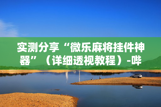 实测分享“微乐麻将挂件神器”（详细透视教程）-哔哩哔哩