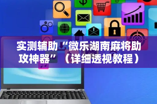 实测辅助“微乐湖南麻将助攻神器”（详细透视教程）-哔哩哔哩