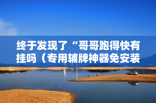 终于发现了“哥哥跑得快有挂吗（专用辅牌神器免安装）