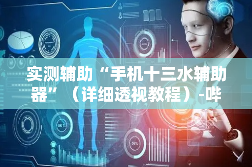 实测辅助“手机十三水辅助器”（详细透视教程）-哔哩哔哩