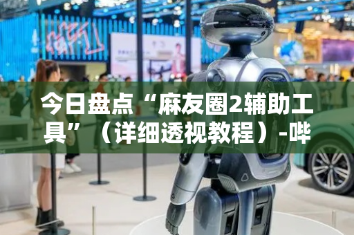 今日盘点“麻友圈2辅助工具”（详细透视教程）-哔哩哔哩