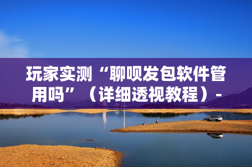 玩家实测“聊呗发包软件管用吗”（详细透视教程）-哔哩哔哩