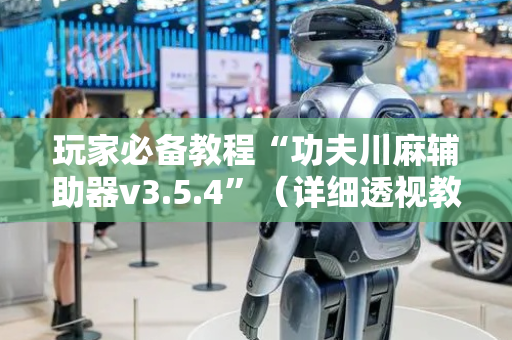 玩家必备教程“功夫川麻辅助器v3.5.4”（详细透视教程）-哔哩哔哩