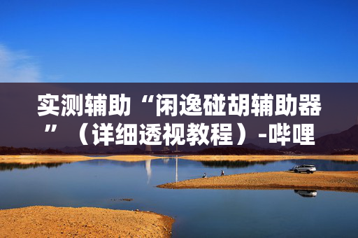 实测辅助“闲逸碰胡辅助器”（详细透视教程）-哔哩哔哩