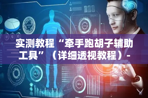 实测教程“牵手跑胡子辅助工具”（详细透视教程）-哔哩哔哩