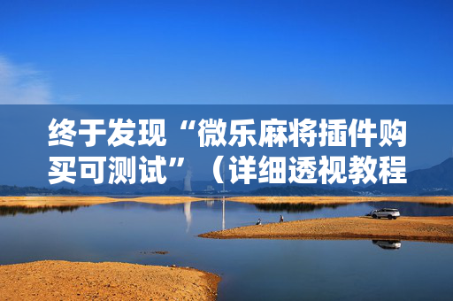 终于发现“微乐麻将插件购买可测试”（详细透视教程）-哔哩哔哩