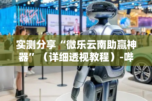 实测分享“微乐云南助赢神器”（详细透视教程）-哔哩哔哩