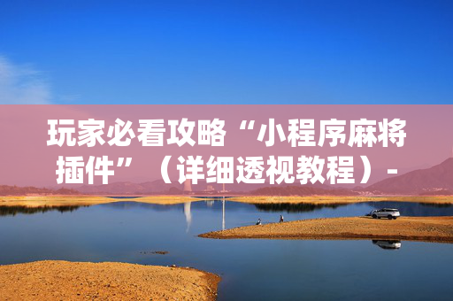 玩家必看攻略“小程序麻将插件”（详细透视教程）-哔哩哔哩