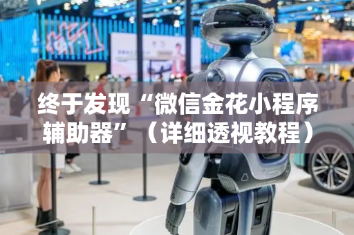 终于发现“微信金花小程序辅助器”（详细透视教程）-哔哩哔哩
