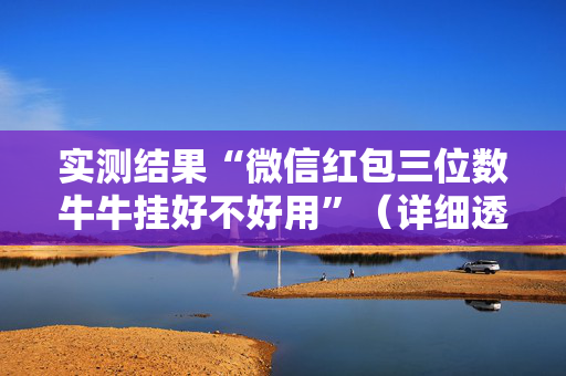 实测结果“微信红包三位数牛牛挂好不好用”（详细透视教程）-哔哩哔哩