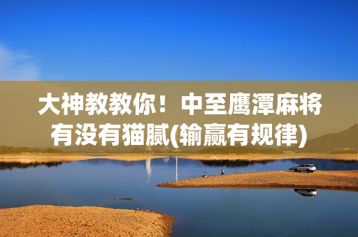 大神教教你！中至鹰潭麻将有没有猫腻(输赢有规律)