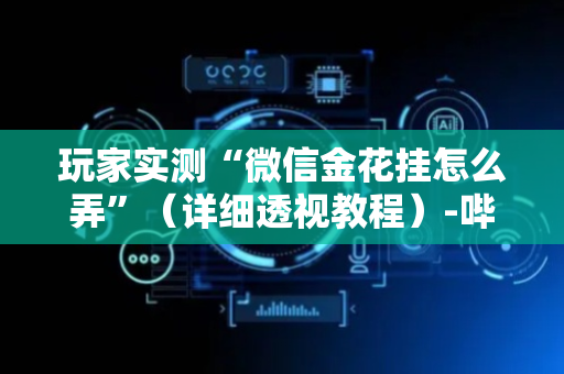 玩家实测“微信金花挂怎么弄”（详细透视教程）-哔哩哔哩