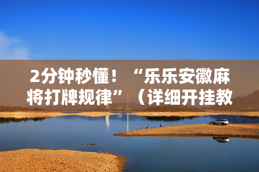 2分钟秒懂！“乐乐安徽麻将打牌规律”（详细开挂教程）-哔哩哔哩
