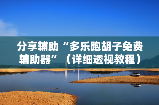 分享辅助“多乐跑胡子免费辅助器”（详细透视教程）-哔哩哔哩