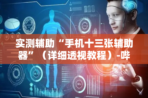 实测辅助“手机十三张辅助器”（详细透视教程）-哔哩哔哩
