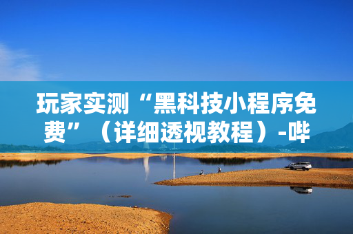 玩家实测“黑科技小程序免费”（详细透视教程）-哔哩哔哩