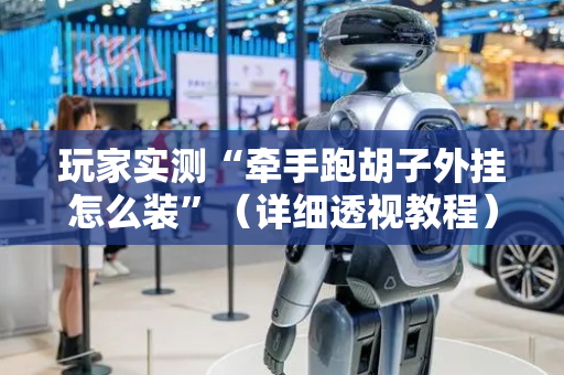 玩家实测“牵手跑胡子外挂怎么装”（详细透视教程）-哔哩哔哩