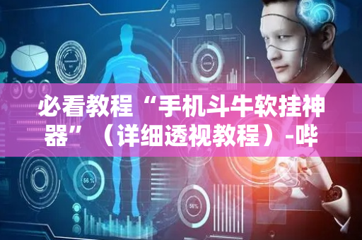 必看教程“手机斗牛软挂神器”（详细透视教程）-哔哩哔哩