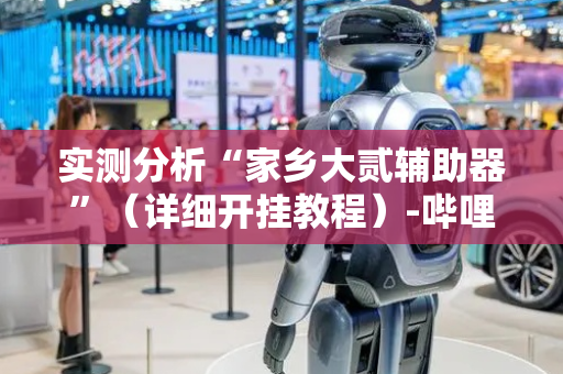 实测分析“家乡大贰辅助器”（详细开挂教程）-哔哩哔哩