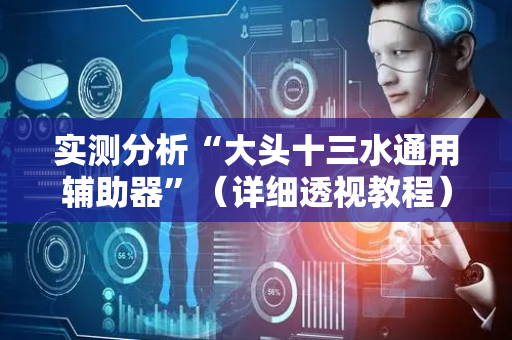 实测分析“大头十三水通用辅助器”（详细透视教程）-哔哩哔哩
