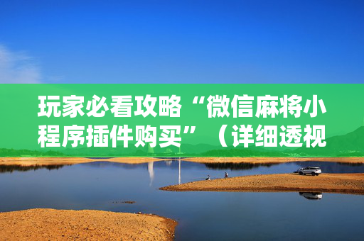玩家必看攻略“微信麻将小程序插件购买”（详细透视教程）-哔哩哔哩