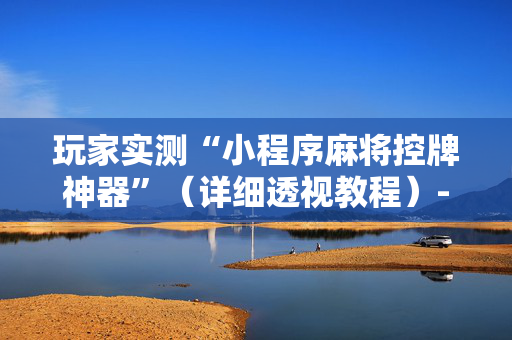 玩家实测“小程序麻将控牌神器”（详细透视教程）-哔哩哔哩