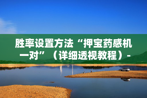 胜率设置方法“押宝药感机 一对”（详细透视教程）-哔哩哔哩
