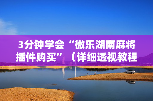 3分钟学会“微乐湖南麻将插件购买”（详细透视教程）-哔哩哔哩