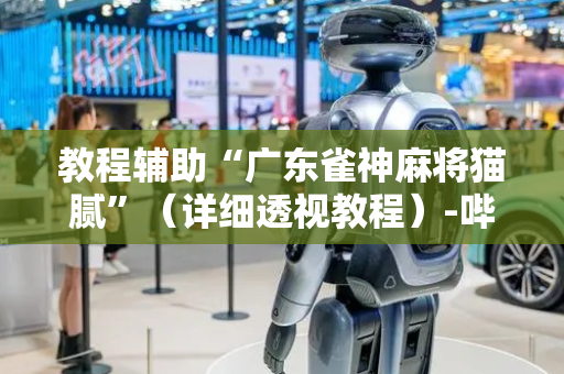 教程辅助“广东雀神麻将猫腻”（详细透视教程）-哔哩哔哩