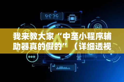 我来教大家“中至小程序辅助器真的假的”（详细透视教程）-哔哩哔哩