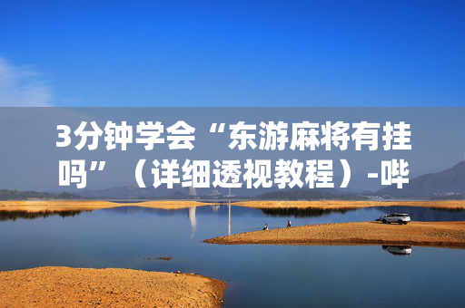3分钟学会“东游麻将有挂吗”（详细透视教程）-哔哩哔哩