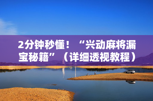 2分钟秒懂！“兴动麻将漏宝秘籍”（详细透视教程）-哔哩哔哩