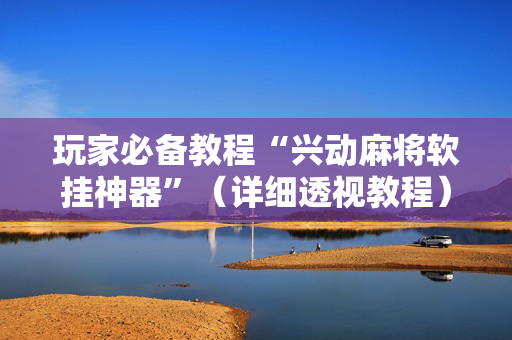 玩家必备教程“兴动麻将软挂神器”（详细透视教程）-哔哩哔哩