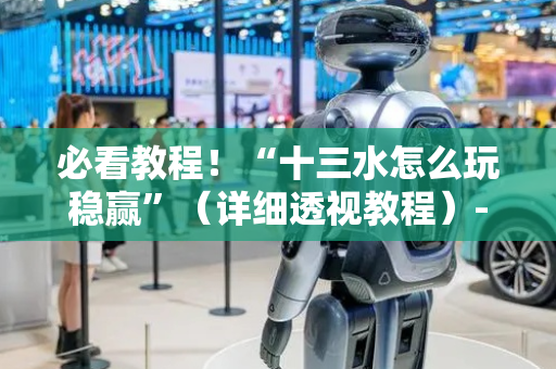 必看教程！“十三水怎么玩稳赢”（详细透视教程）-哔哩哔哩