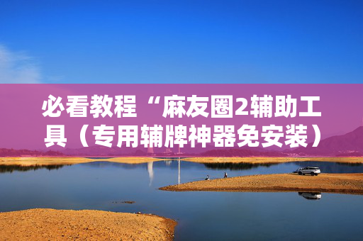必看教程“麻友圈2辅助工具（专用辅牌神器免安装）