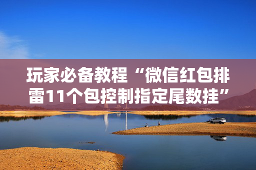 玩家必备教程“微信红包排雷11个包控制指定尾数挂”（详细透视教程）-哔哩哔哩