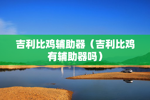 吉利比鸡辅助器（吉利比鸡有辅助器吗）