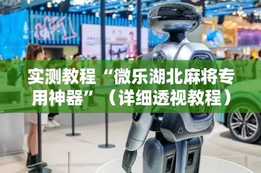 实测教程“微乐湖北麻将专用神器”（详细透视教程）-哔哩哔哩