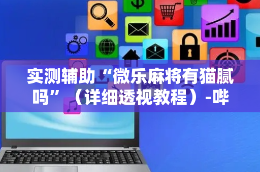 实测辅助“微乐麻将有猫腻吗”（详细透视教程）-哔哩哔哩
