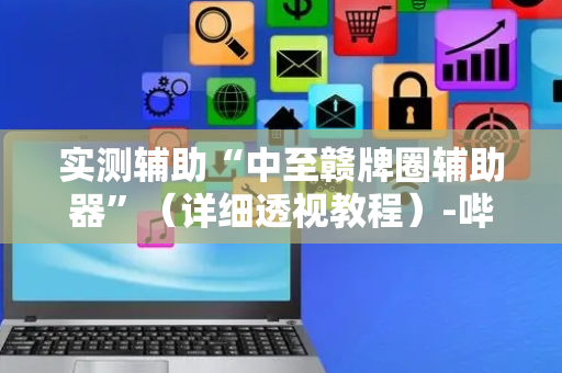 实测辅助“中至赣牌圈辅助器”（详细透视教程）-哔哩哔哩