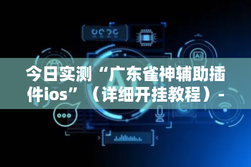 今日实测“广东雀神辅助插件ios”（详细开挂教程）-哔哩哔哩