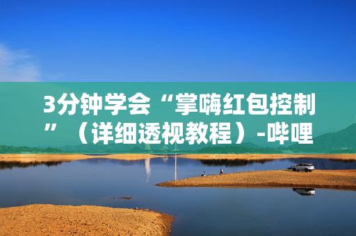 3分钟学会“掌嗨红包控制”（详细透视教程）-哔哩哔哩