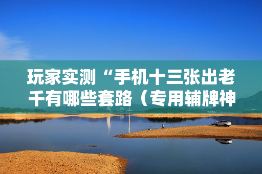 玩家实测“手机十三张出老千有哪些套路（专用辅牌神器免安装）