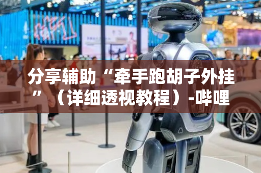 分享辅助“牵手跑胡子外挂”（详细透视教程）-哔哩哔哩