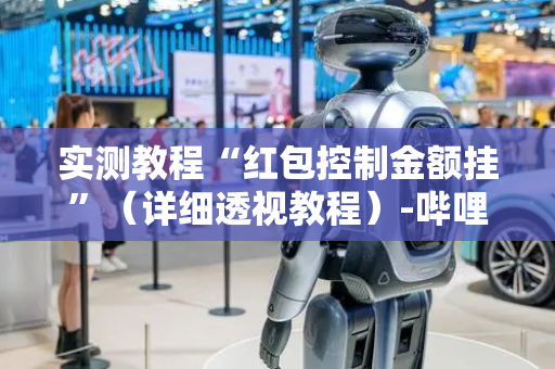 实测教程“红包控制金额挂”（详细透视教程）-哔哩哔哩